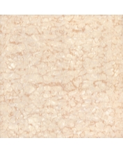 Granite Floor Tile TS2-615